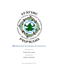 2011 Strategic Economic Action Plan